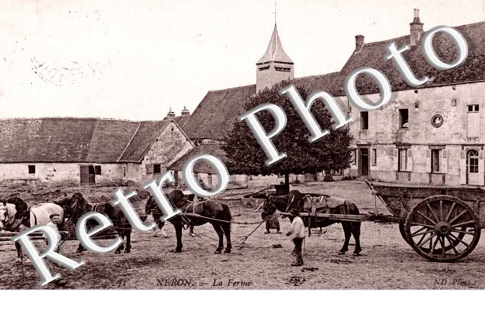 La ferme