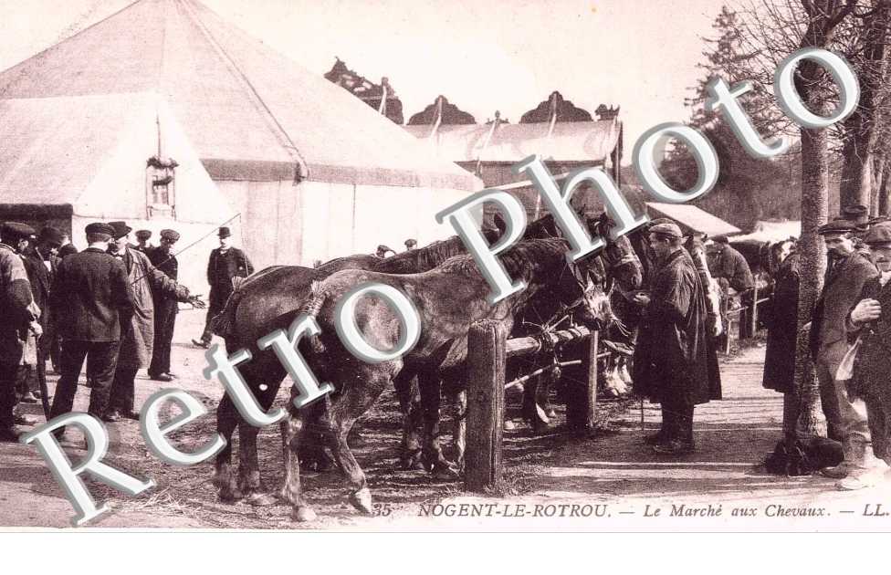  LE MARCHE AUX CHEVAUX