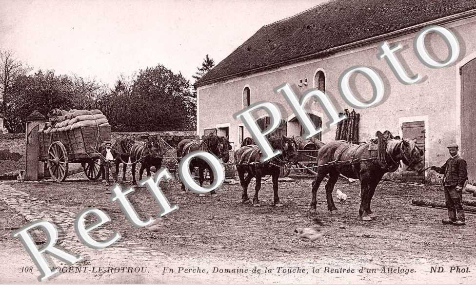 en Perche Domaine de la Touche la rentree d'un attelage (Cheval)