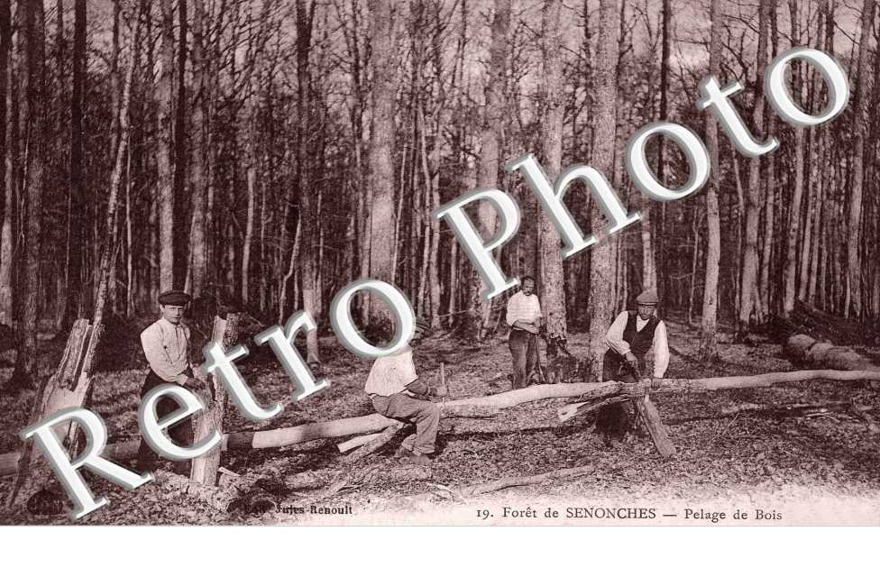 pelage de bois