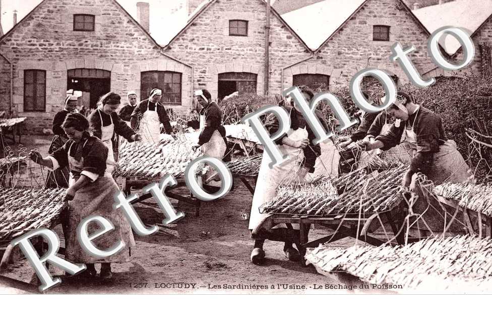 les sardinieres a l'usine, le sechage du poisson