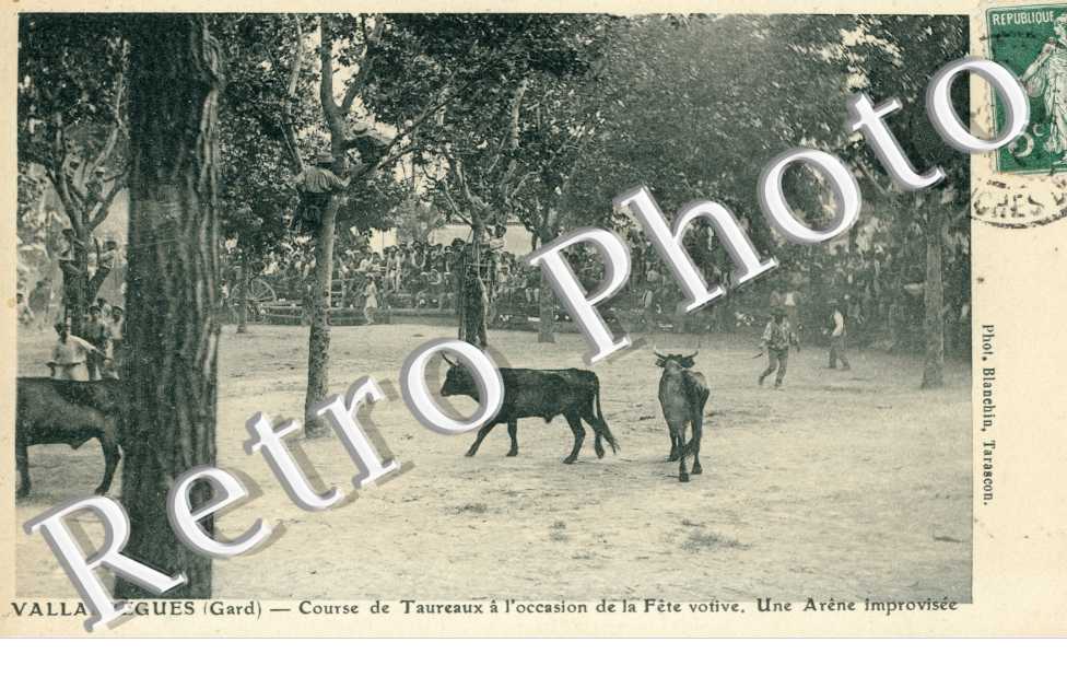 CCourse de taureaux a l'occasion de la fete Votive - une arene improvisee