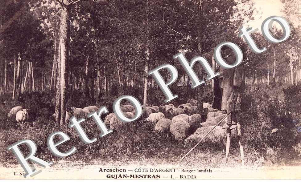 berger landais