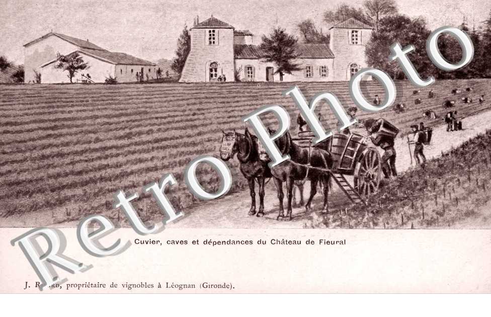 Cuvier, caves et dependances du chateau de Fieural