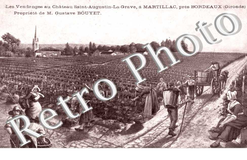 Vendanges - Propriete de M. Gustave Bouyet