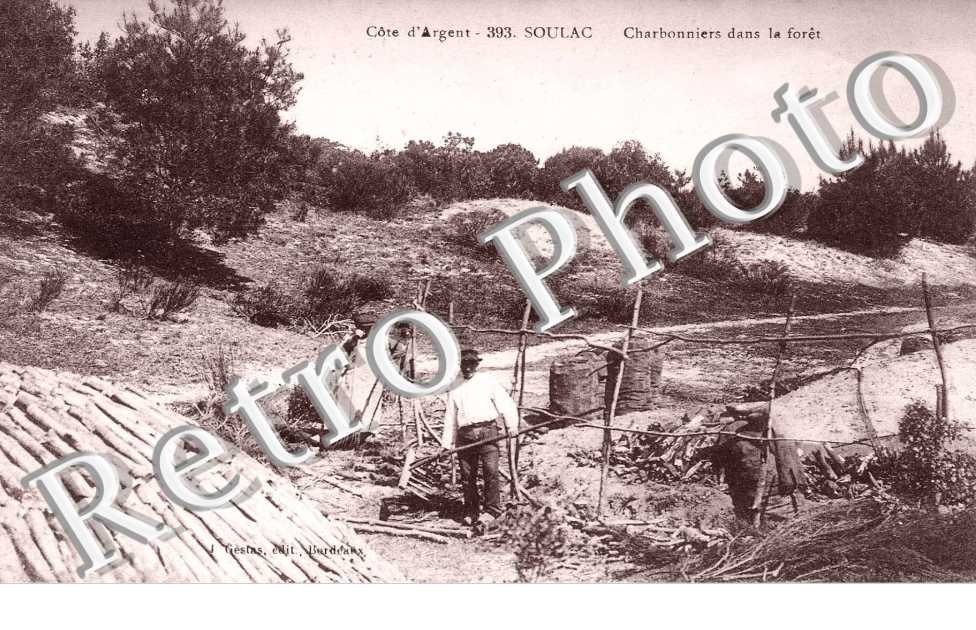 charbonnier dans la foret