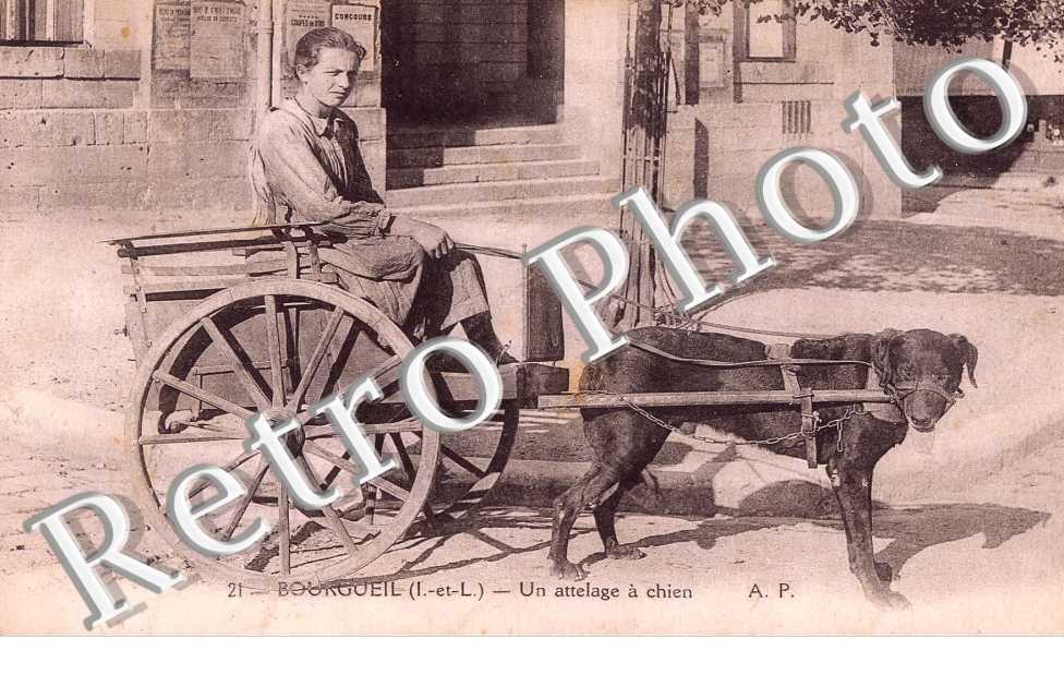 Un Attelage à Chien