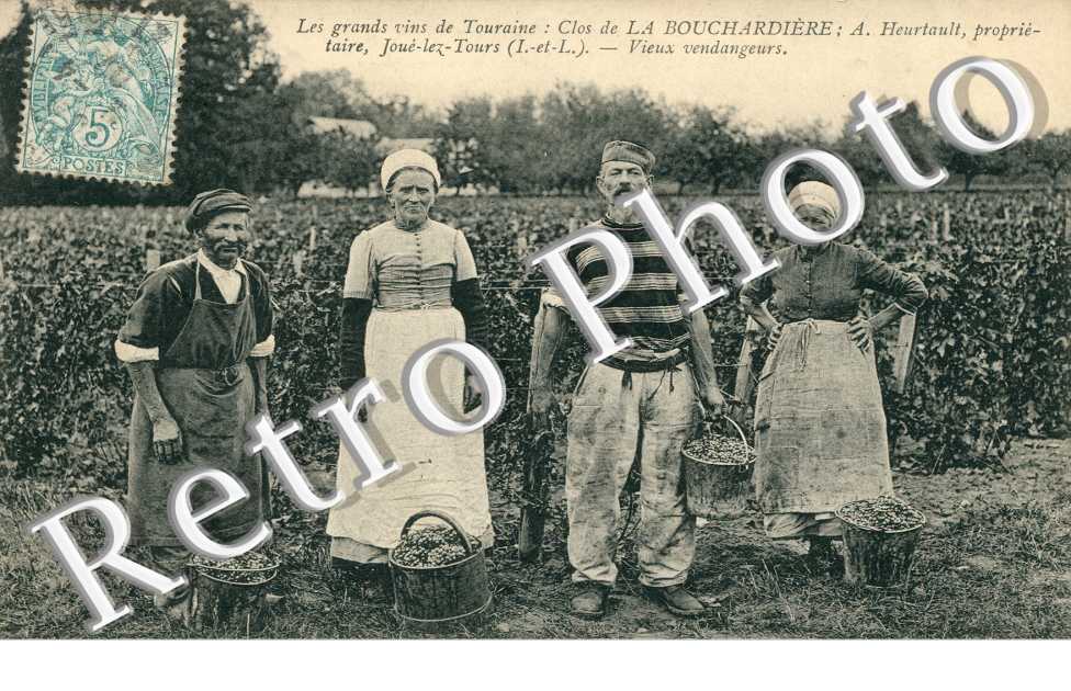 les grands vins de touraine, clos de la bouchardiere, A.Heurtault, vieux vendangeurs