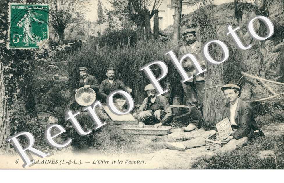 L'Osier et les Vanniers