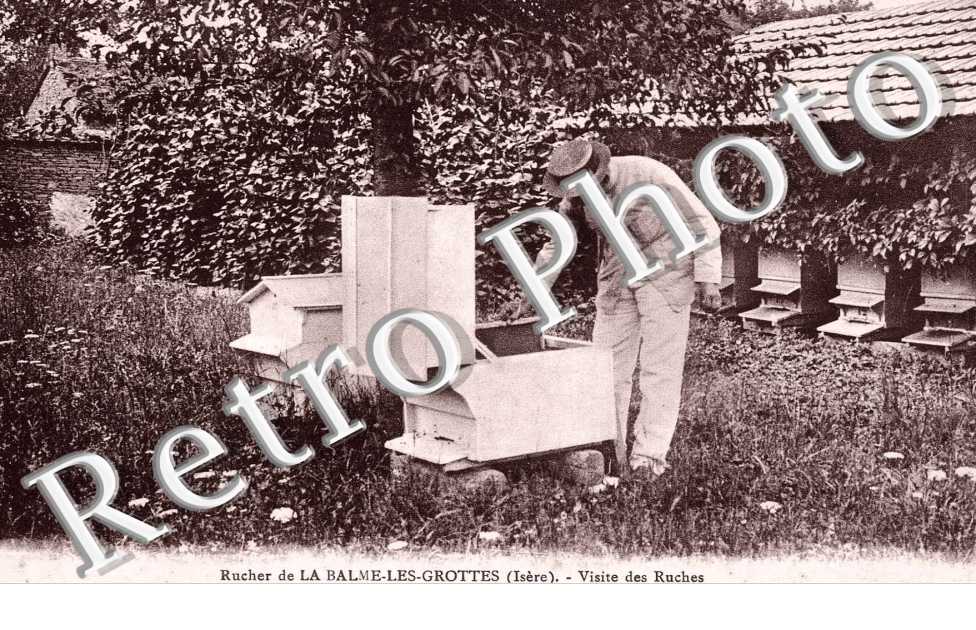 Visite des Ruches