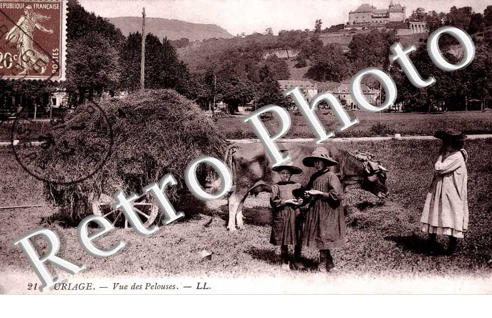 vue des pelouses