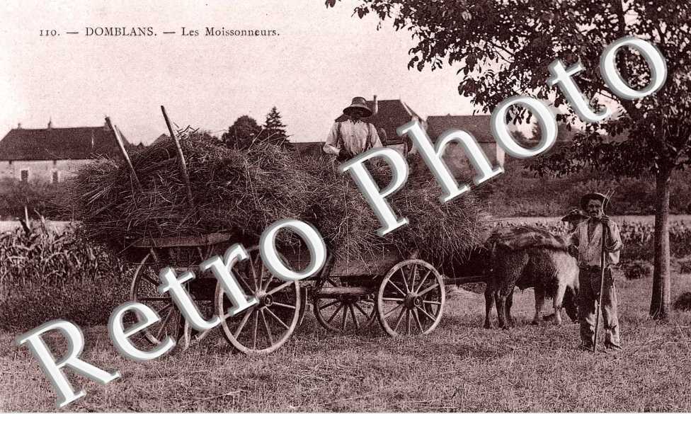 Les moissonneurs - agriculture