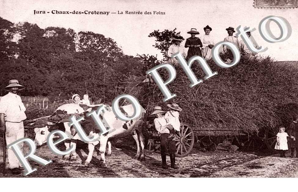 la rentree des foins