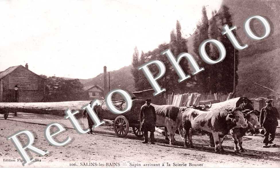 sapin arrivant a la scierie Bouvet
