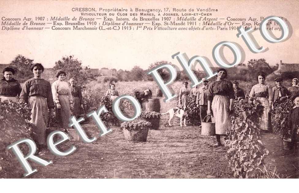 viticulteur du clos des Mares - Cresson, proprietaire a Beaugency