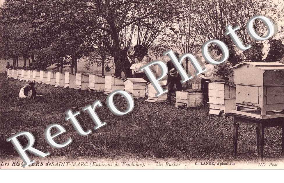 les ruchers de saint marc, un rucher