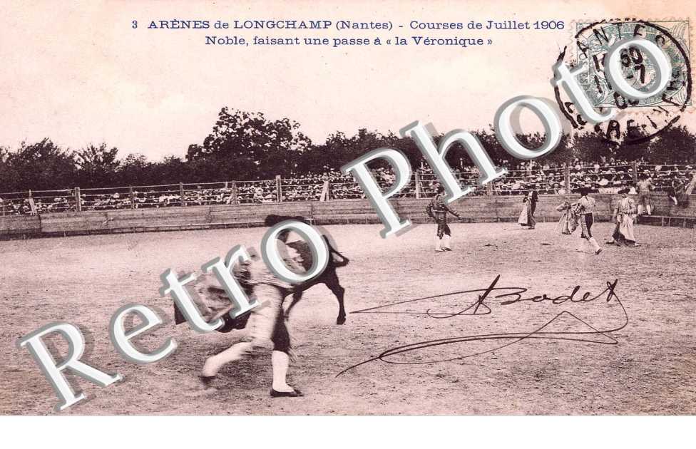 Arenes de Longchamp Courses de juillet 1906 Les taureaux dans l'arebe pendant que des charpentiers reparent le toril demoli a coups de cornes.