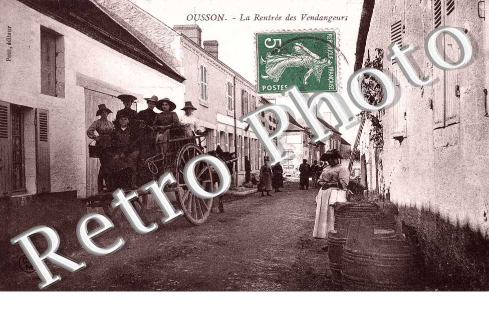 La rentree des vendanges - viticulture