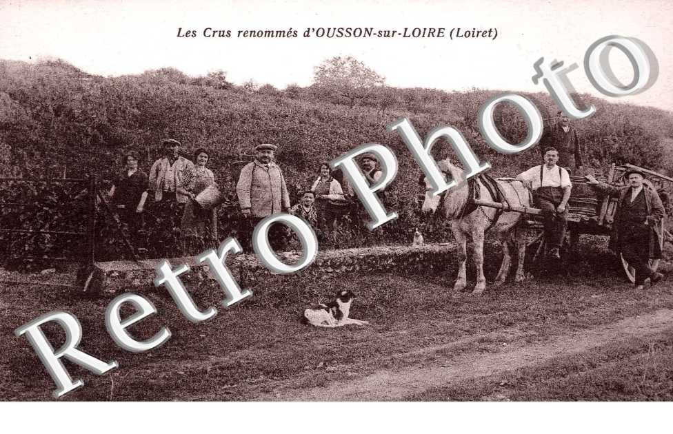 Les Crus renommes - viticulture