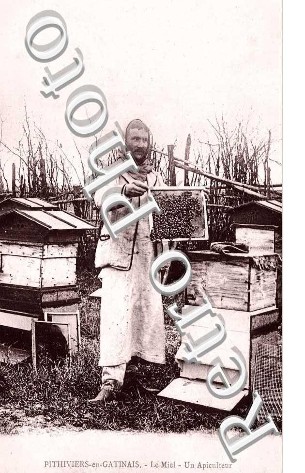 LE MIEL UN APICULTEUR