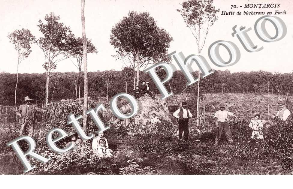 huttes de bucherons en foret