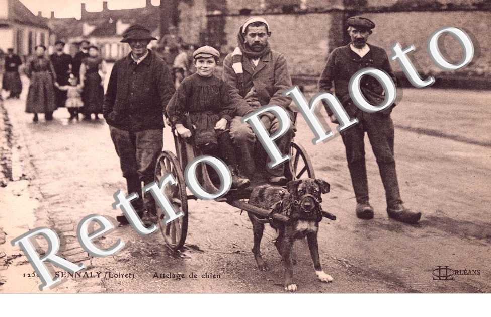 ATTELAGE DE CHIEN