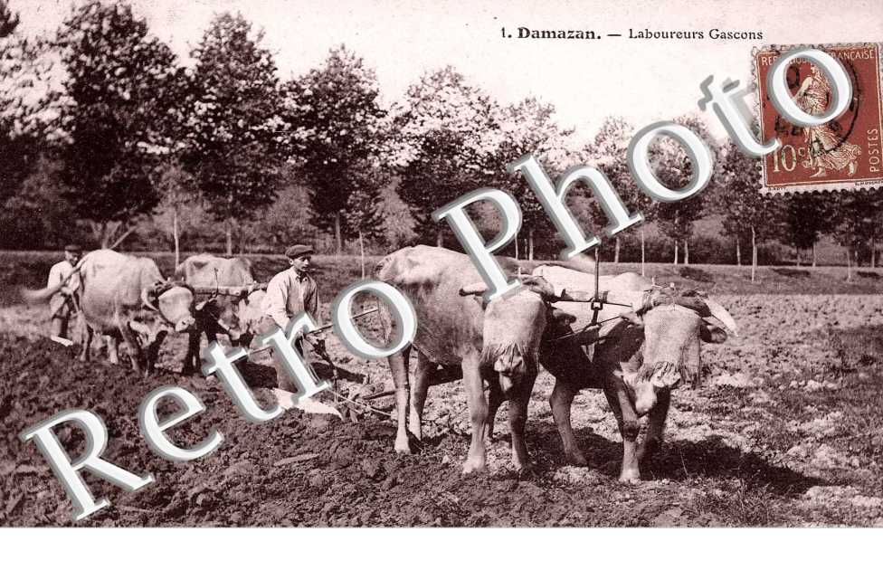 Laboureurs gascons - agriculture - Charrue