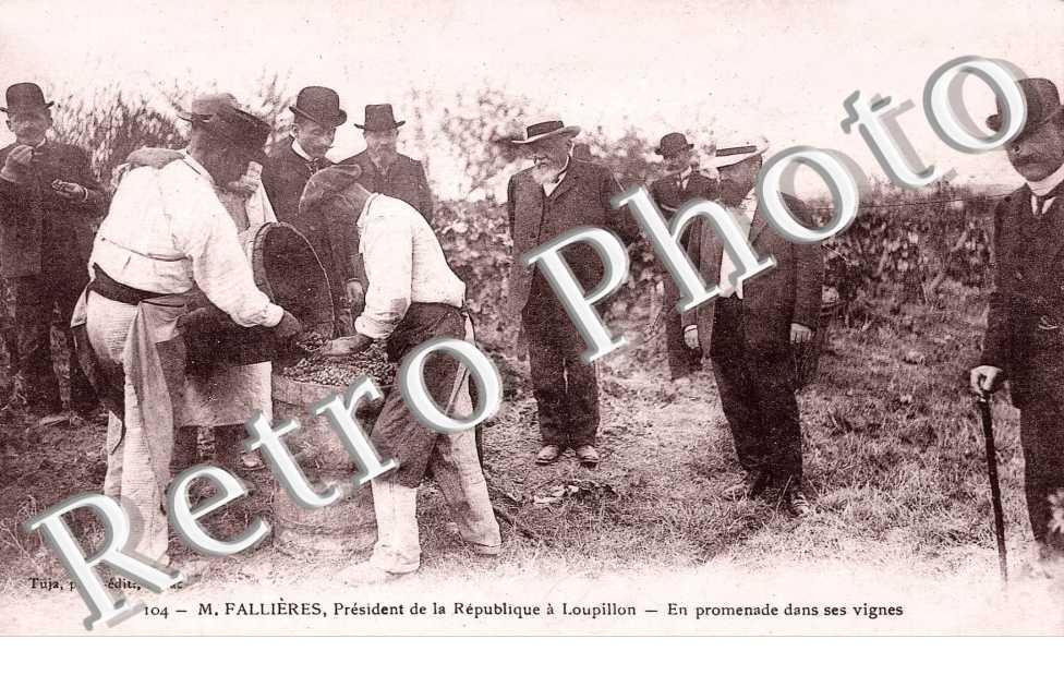 EN PROMENADE DANS LES VIGNES 