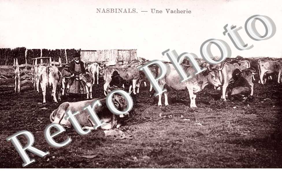 UNE VACHERIE