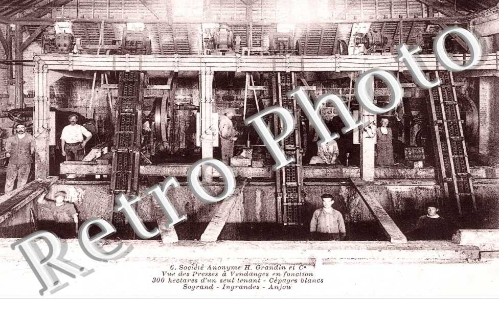 societe anonyme H.Grandin& cie - vue des presses a vendanges