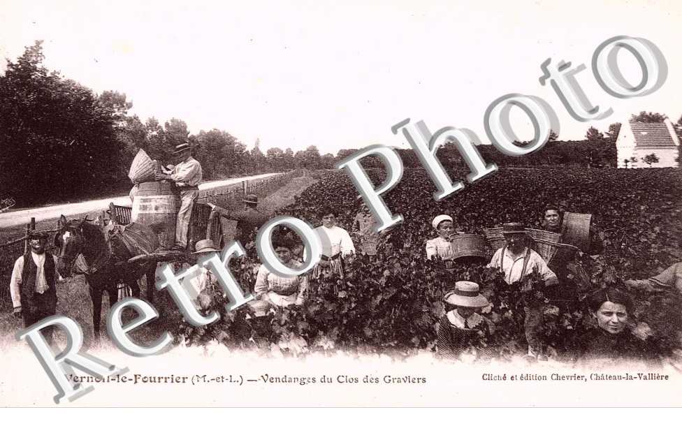 Vendanges du clos des graviers - viticulture