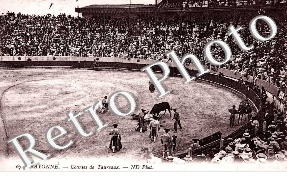 COURSES DE TAUREAUX 