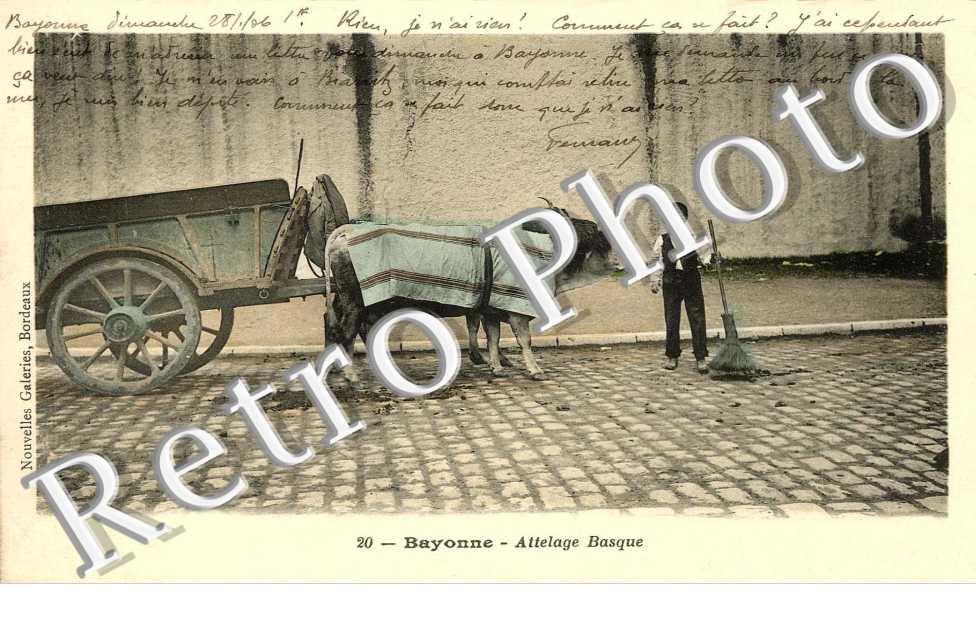 ATTELAGE  BASQUE