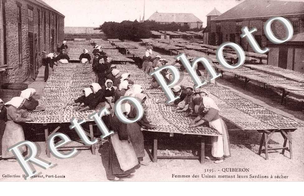 femmes des usines mettant leurs sardines a secher