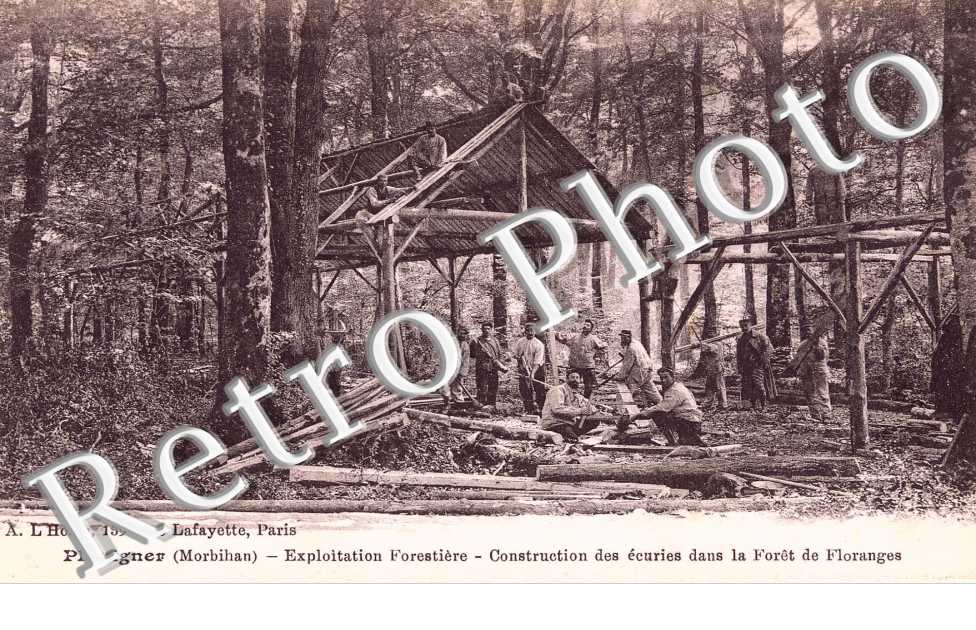 Exploitation forestiere - constructiond es ecuries dans la foret de Floranges