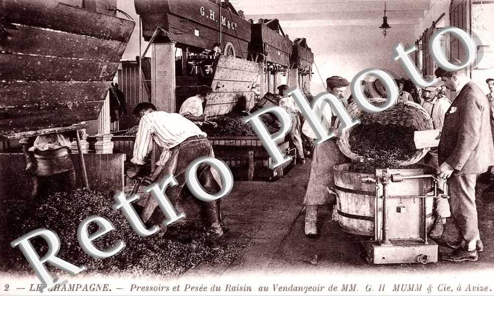 pressoirs et pesee du raisin au vendangeoir de MM. G. H Mumm &cie