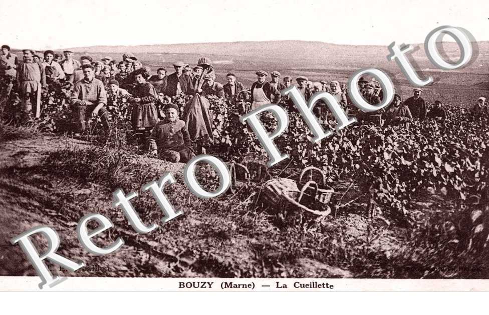 la cueillette