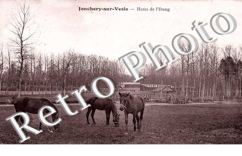 Haras de l'etang