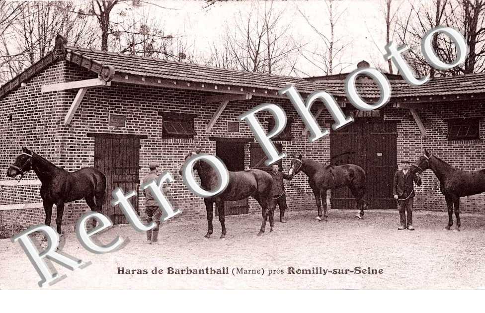 Haras de Barbanthall pres Romilly-sur-Seine (CHEVAL)