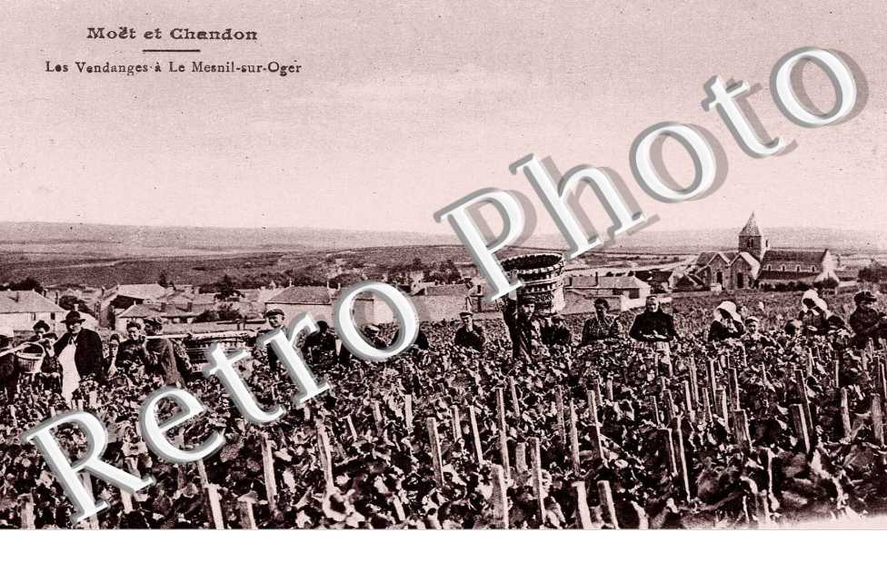 Les Vendanges