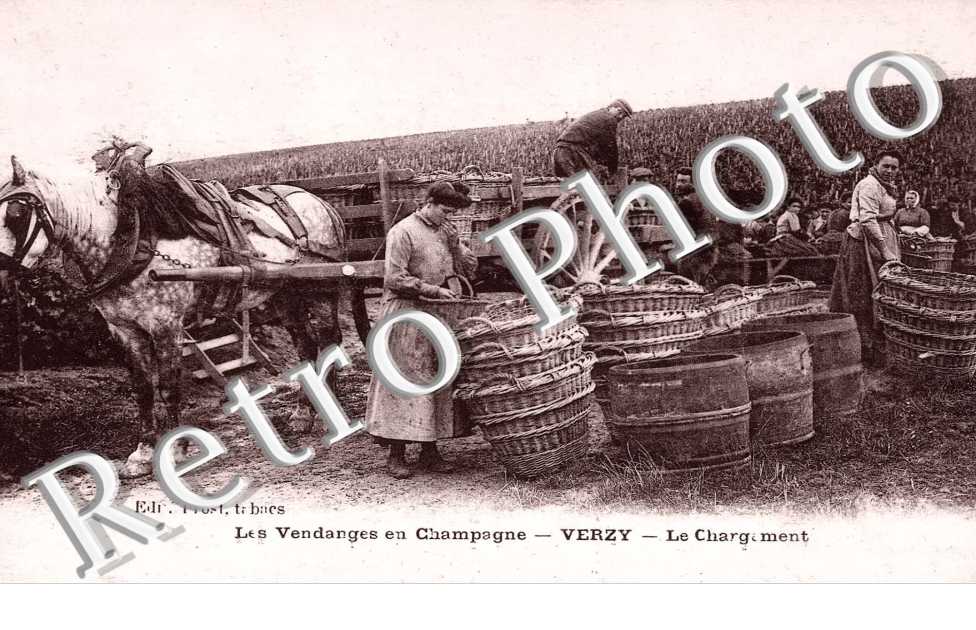 les vendanges en Champagne  Le chargement