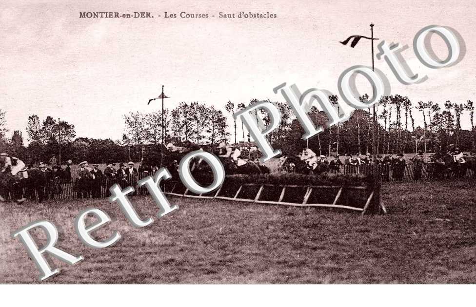 LES COURSES SAUT D'OBSTACLES