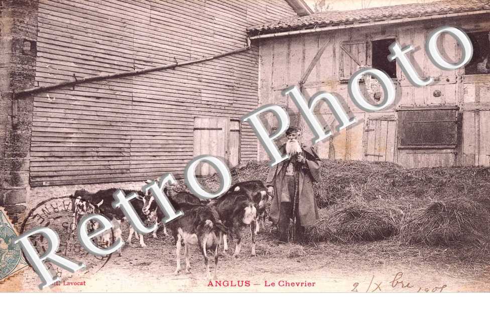Le chevrier
