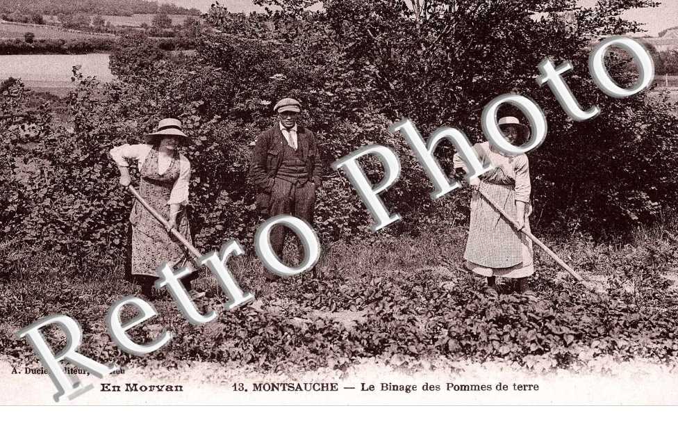le binage des pommes de terre (belle carte)