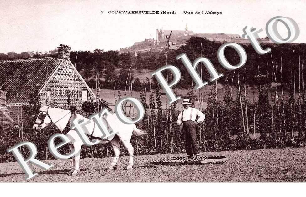 vue de l'abbaye