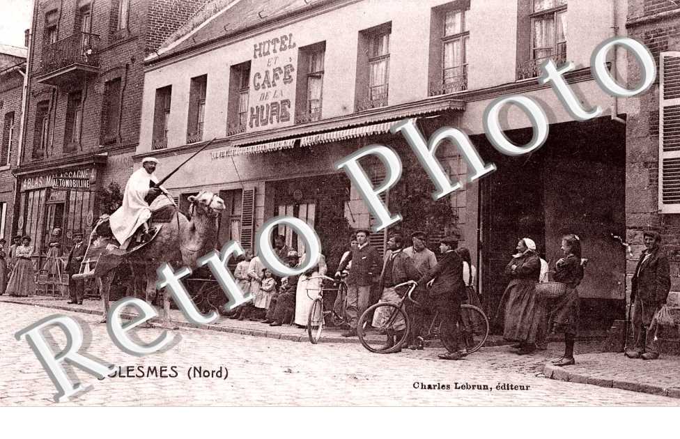 Hotel cafe - chameau dromadaire