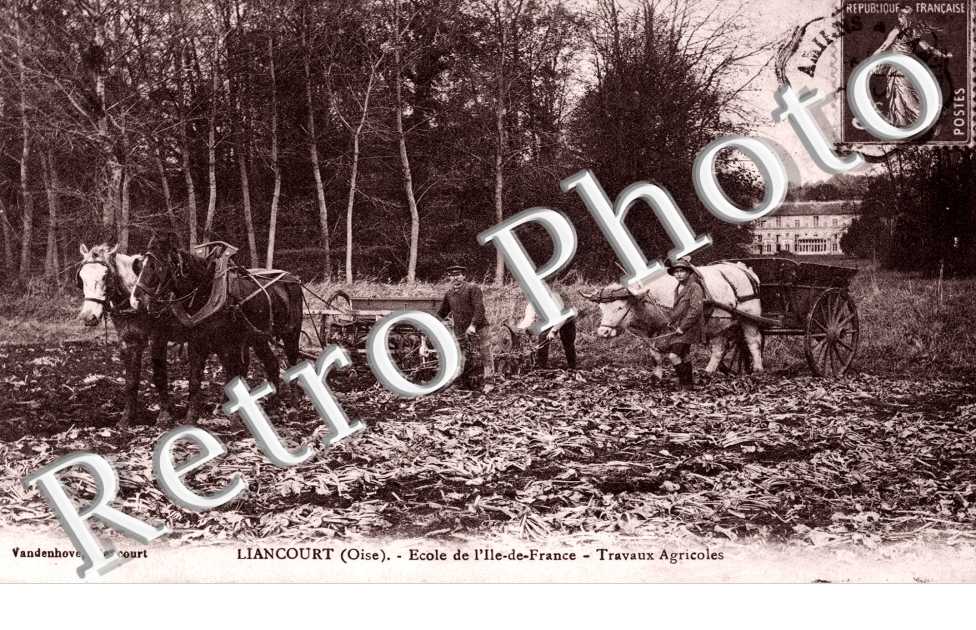 ecole de l' Ile-de-France, travaux agricoles