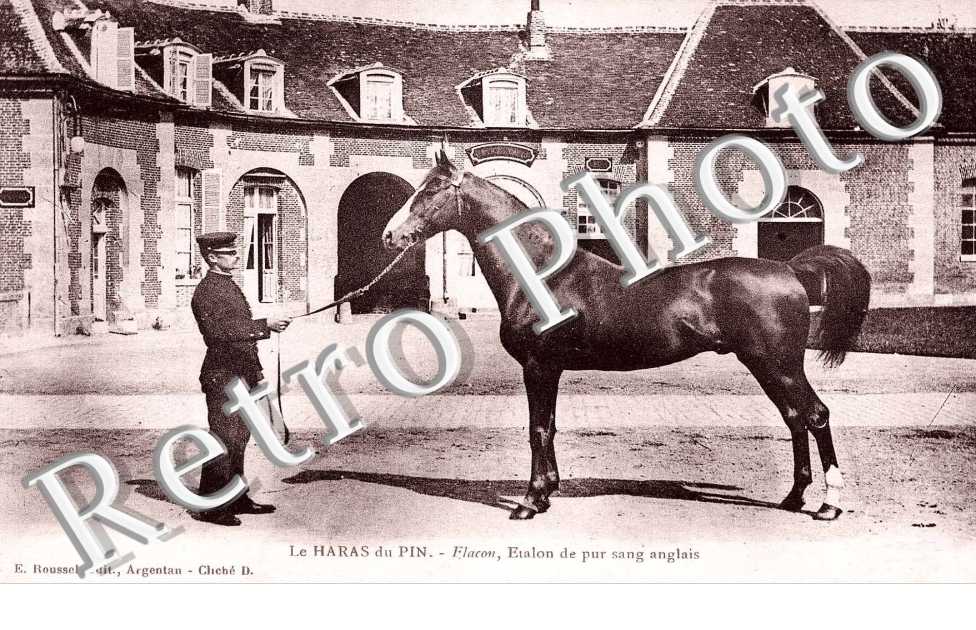 Flacon - Etalon de Pur sang Anglais