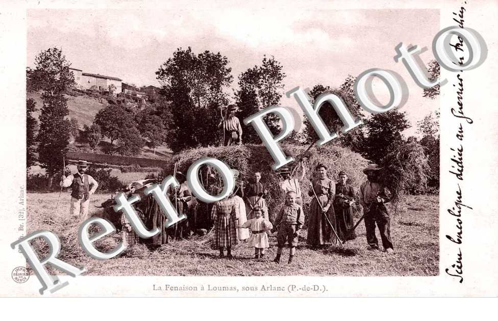 La fenaison - agriculture