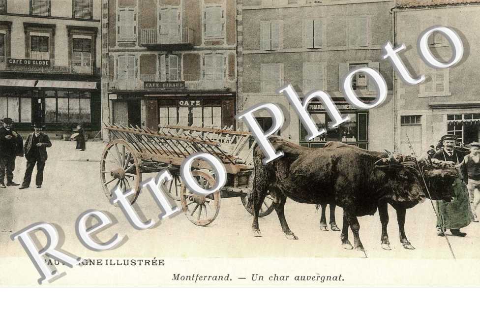 Un char Auvergnat